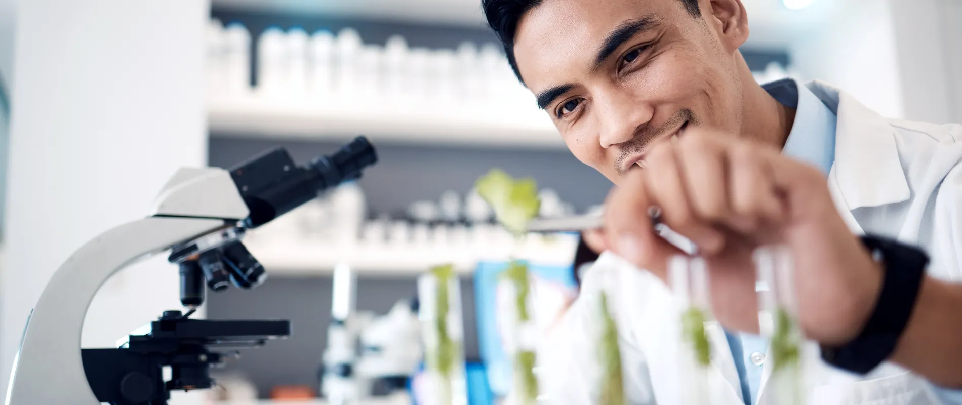 Laboratorio de Análisis Microbiológicos en Panamá | MiQroLab